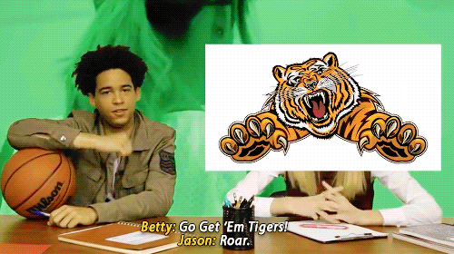 go-get-the-tigers