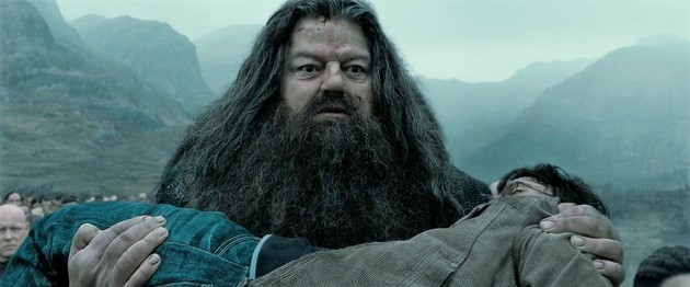 hagrid-harry