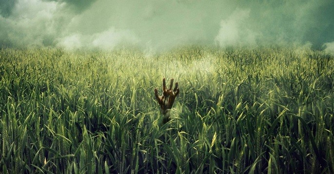 In the tall grass Películas Terror Netflix